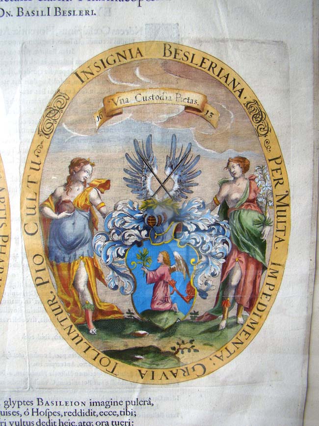 A RARE Frontispiece from Basilius Besler's “Hortus Eystettensis“ published in 1640 — image 3